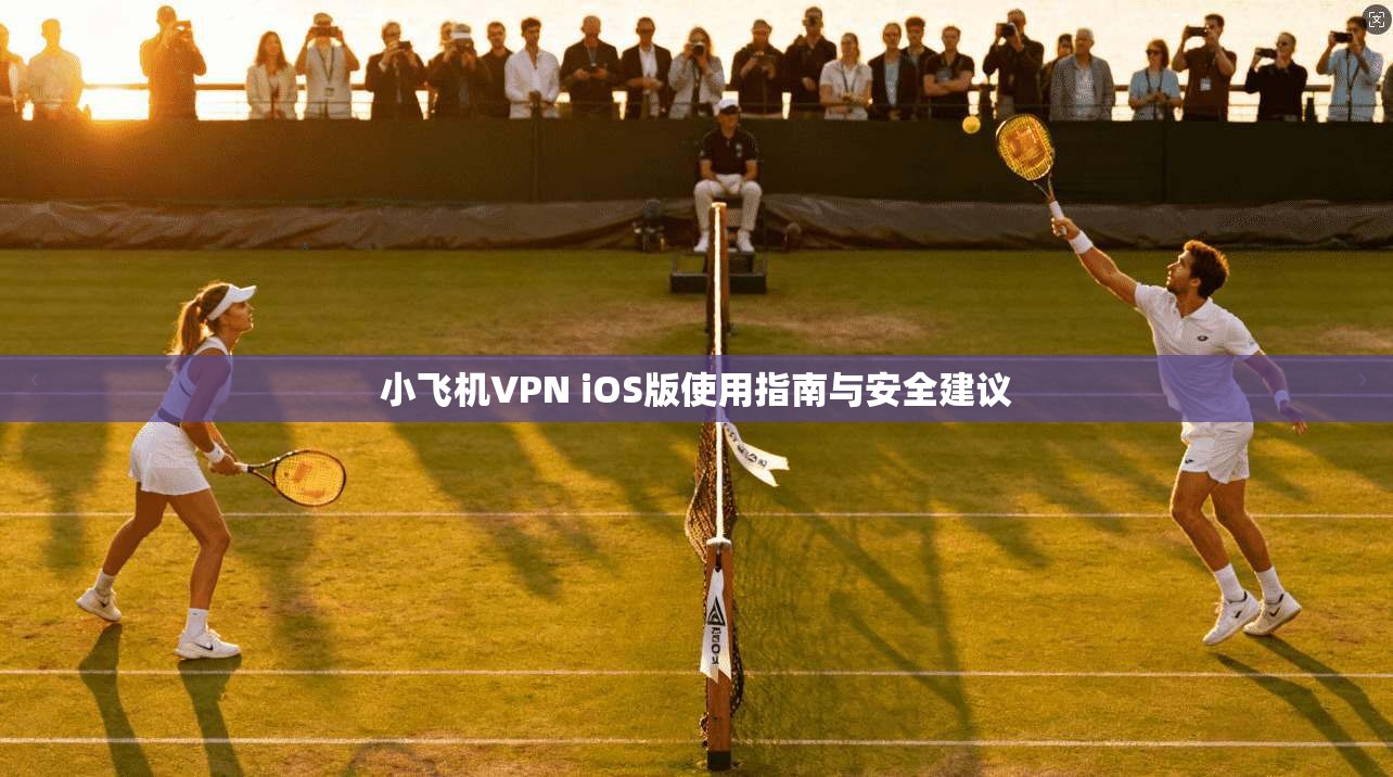 小飞机VPN iOS版使用指南与安全建议