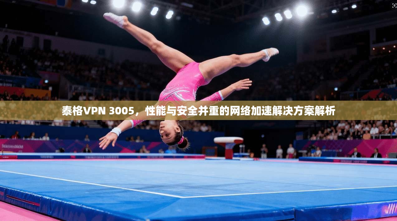 泰格VPN 3005，性能与安全并重的网络加速解决方案解析