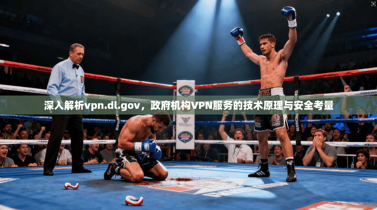 深入解析vpn.dl.gov，政府机构VPN服务的技术原理与安全考量