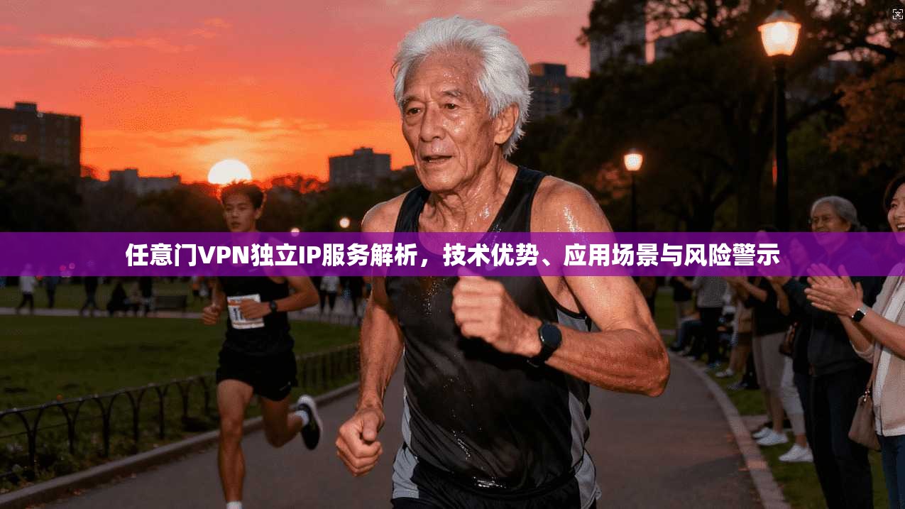 任意门VPN独立IP服务解析，技术优势、应用场景与风险警示