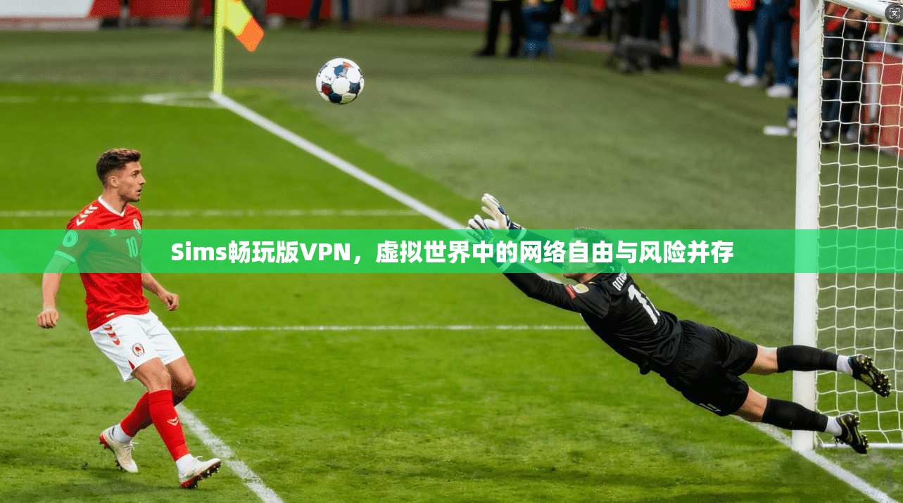 Sims畅玩版VPN，虚拟世界中的网络自由与风险并存
