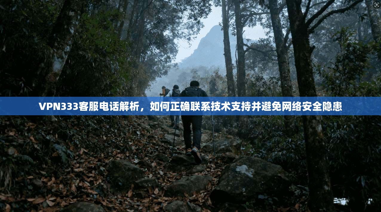 VPN333客服电话解析，如何正确联系技术支持并避免网络安全隐患