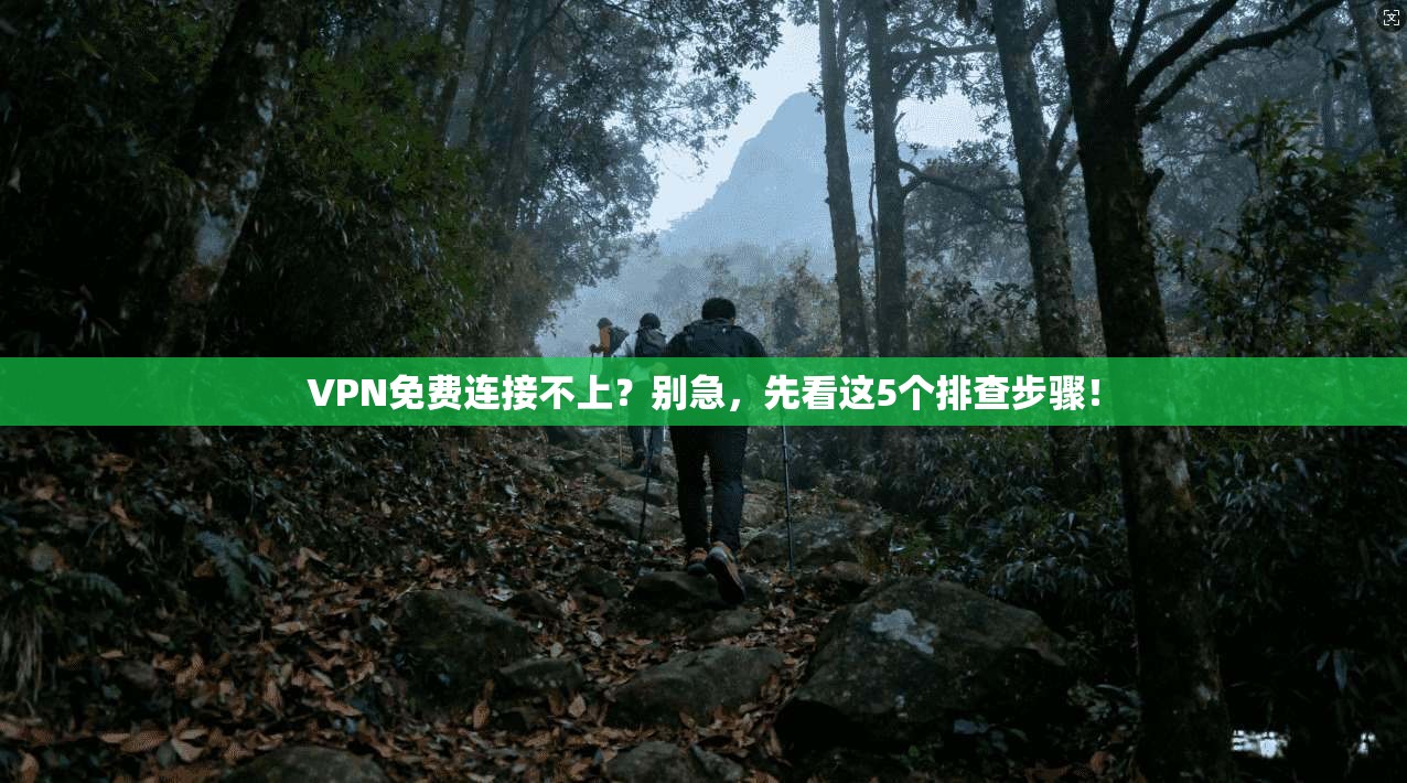 VPN免费连接不上？别急，先看这5个排查步骤！