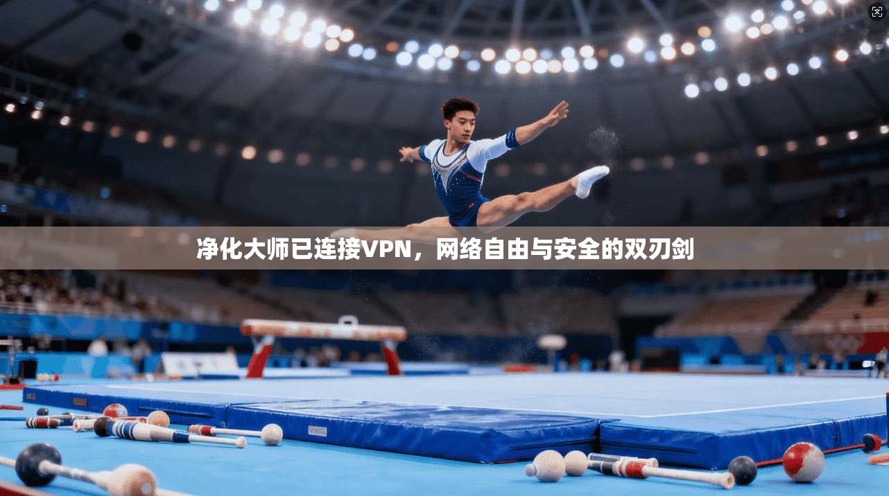 净化大师已连接VPN，网络自由与安全的双刃剑