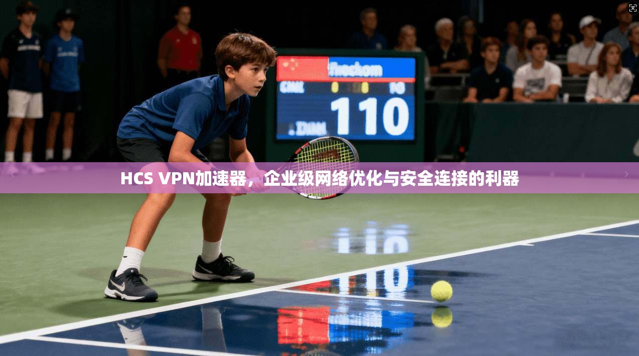 HCS VPN加速器，企业级网络优化与安全连接的利器