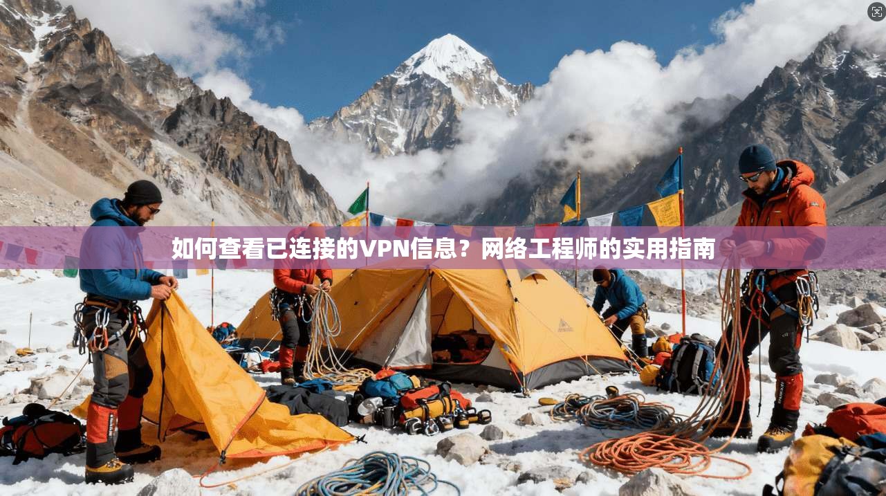 如何查看已连接的VPN信息？网络工程师的实用指南