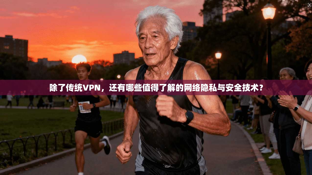 除了传统VPN，还有哪些值得了解的网络隐私与安全技术？