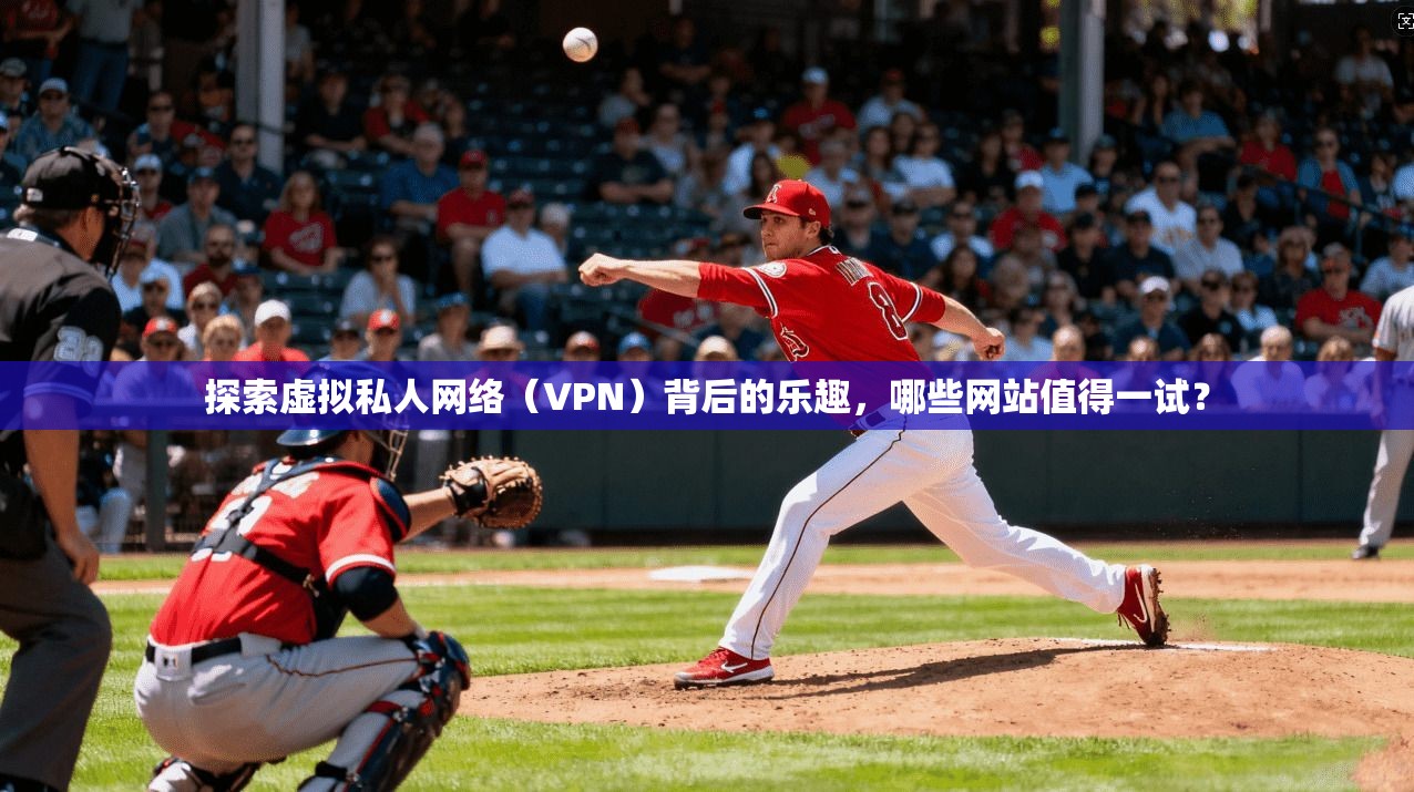 探索虚拟私人网络（VPN）背后的乐趣，哪些网站值得一试？