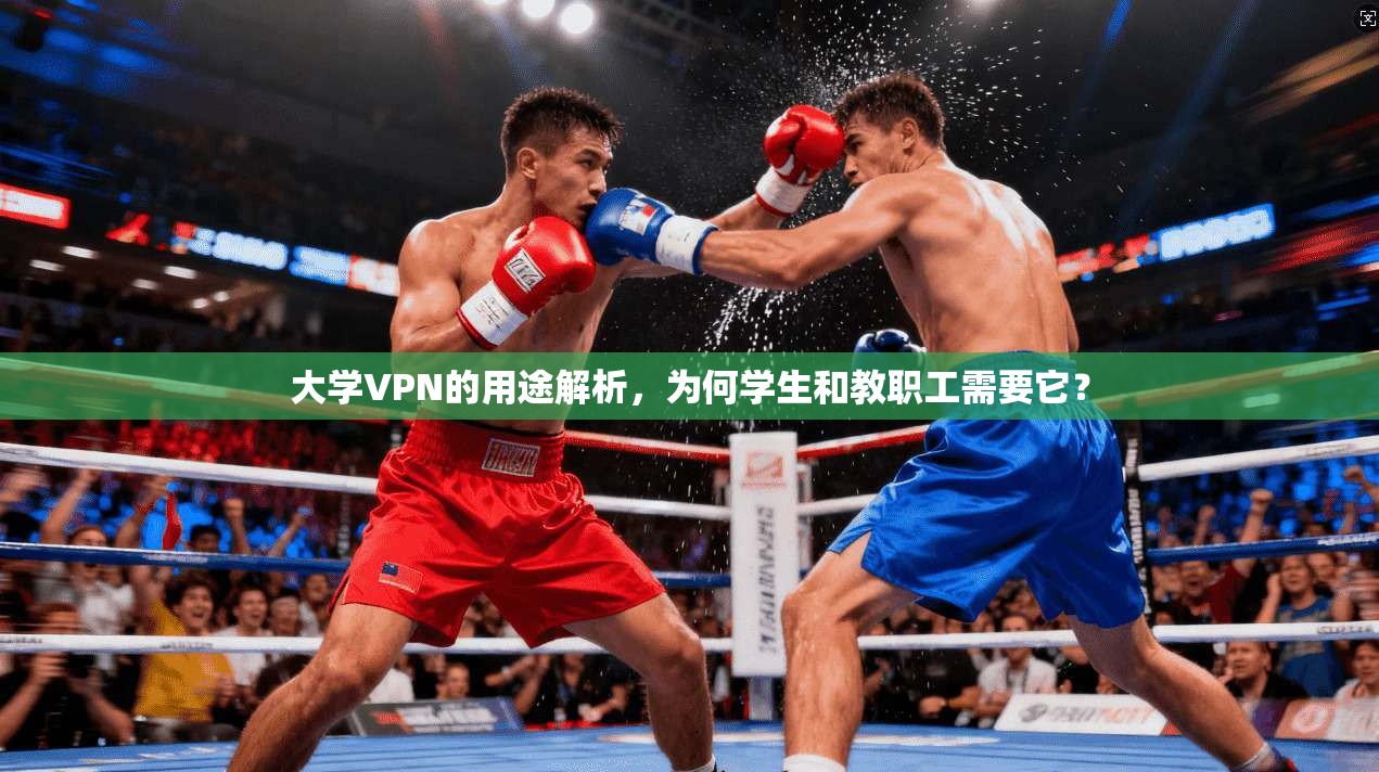 大学VPN的用途解析，为何学生和教职工需要它？