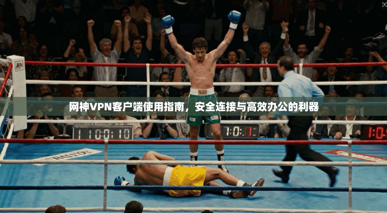 网神VPN客户端使用指南，安全连接与高效办公的利器