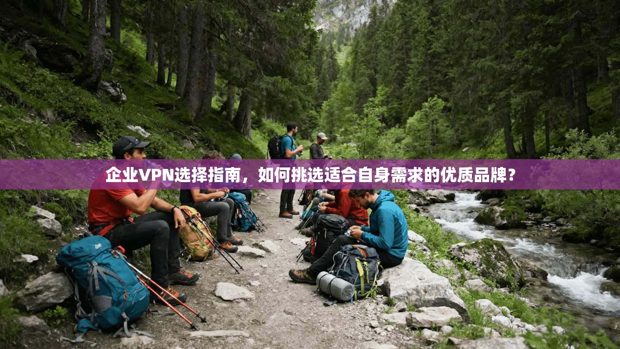 企业VPN选择指南，如何挑选适合自身需求的优质品牌？