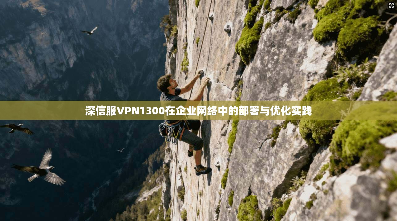 深信服VPN1300在企业网络中的部署与优化实践