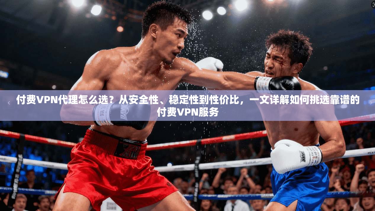 付费VPN代理怎么选？从安全性、稳定性到性价比，一文详解如何挑选靠谱的付费VPN服务