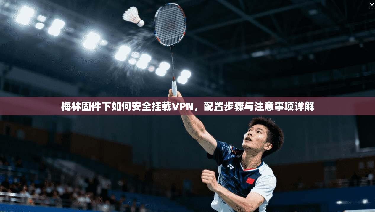 梅林固件下如何安全挂载VPN，配置步骤与注意事项详解