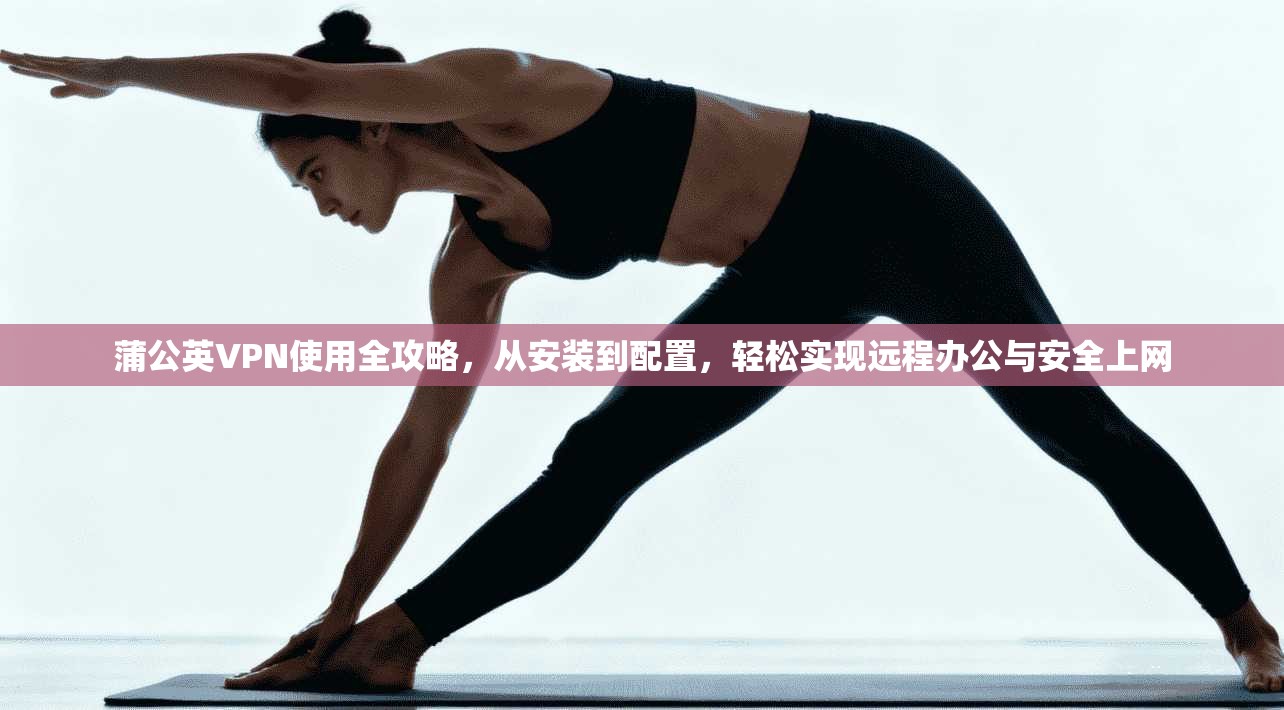 蒲公英VPN使用全攻略，从安装到配置，轻松实现远程办公与安全上网
