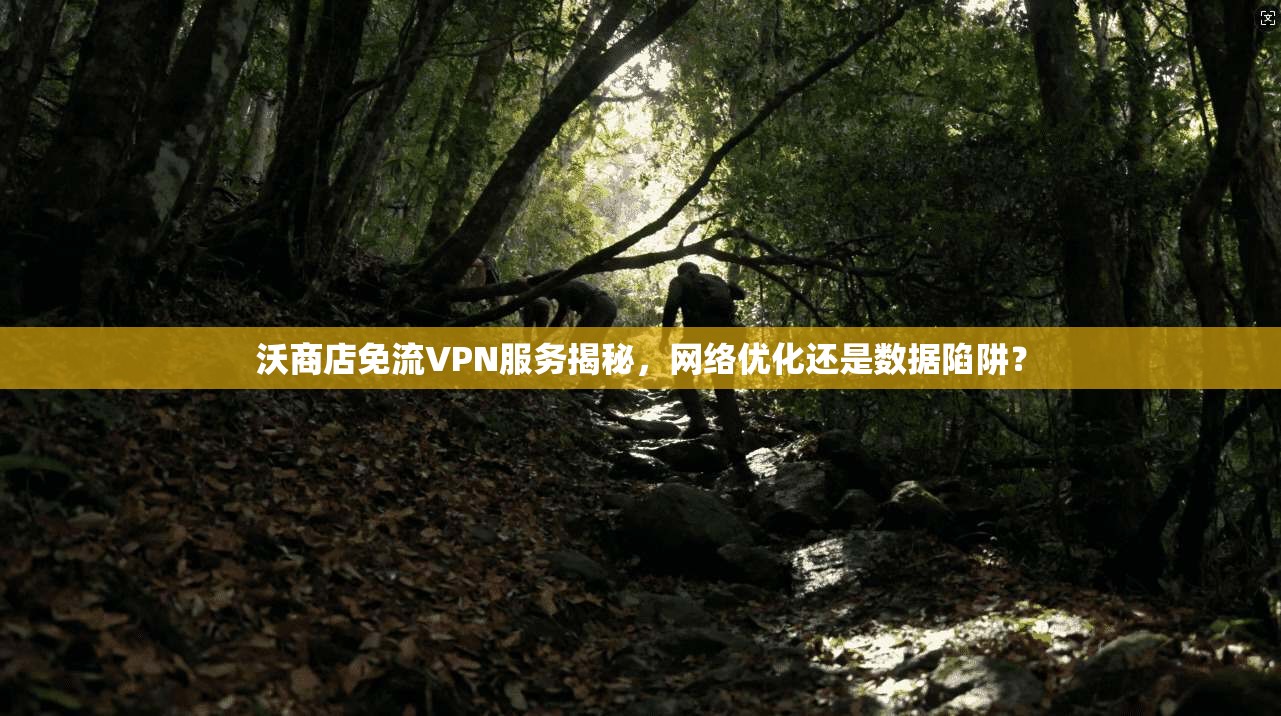 沃商店免流VPN服务揭秘，网络优化还是数据陷阱？