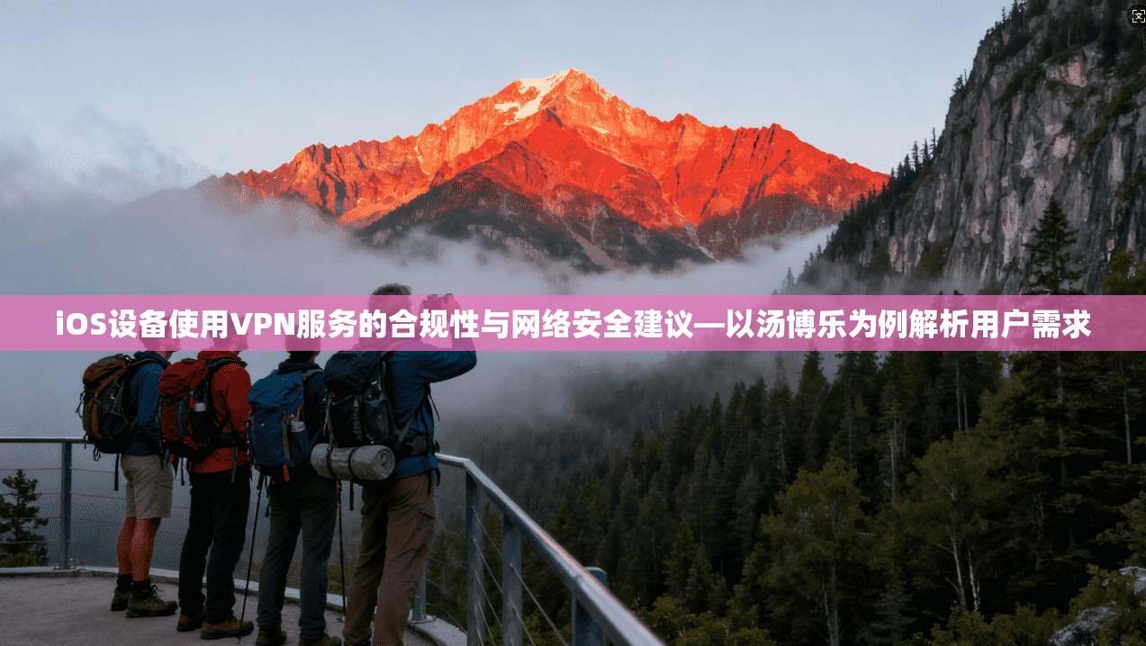 iOS设备使用VPN服务的合规性与网络安全建议—以汤博乐为例解析用户需求