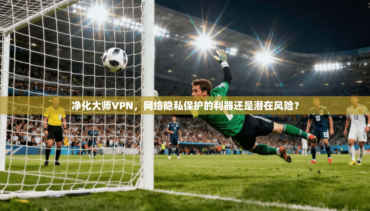 净化大师VPN,网络隐私保护的利器还是潜在风险?