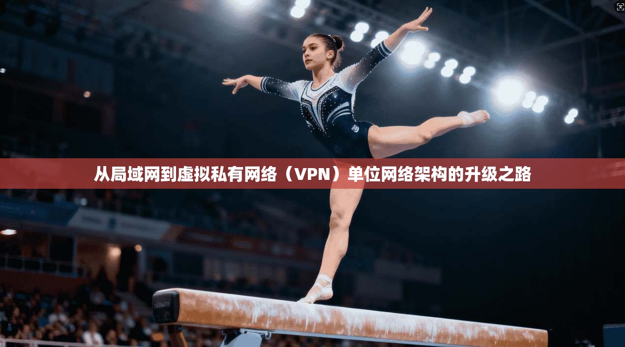从局域网到虚拟私有网络（VPN）单位网络架构的升级之路