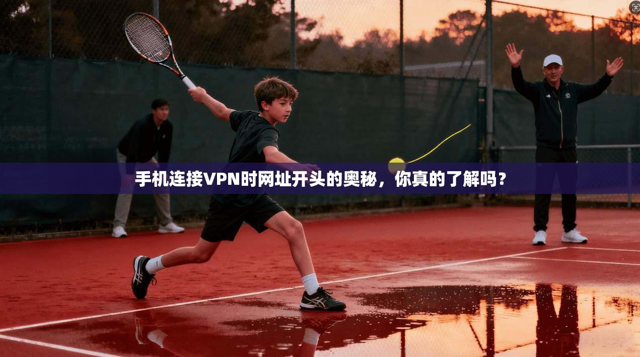 手机连接VPN时网址开头的奥秘,你真的了解吗?