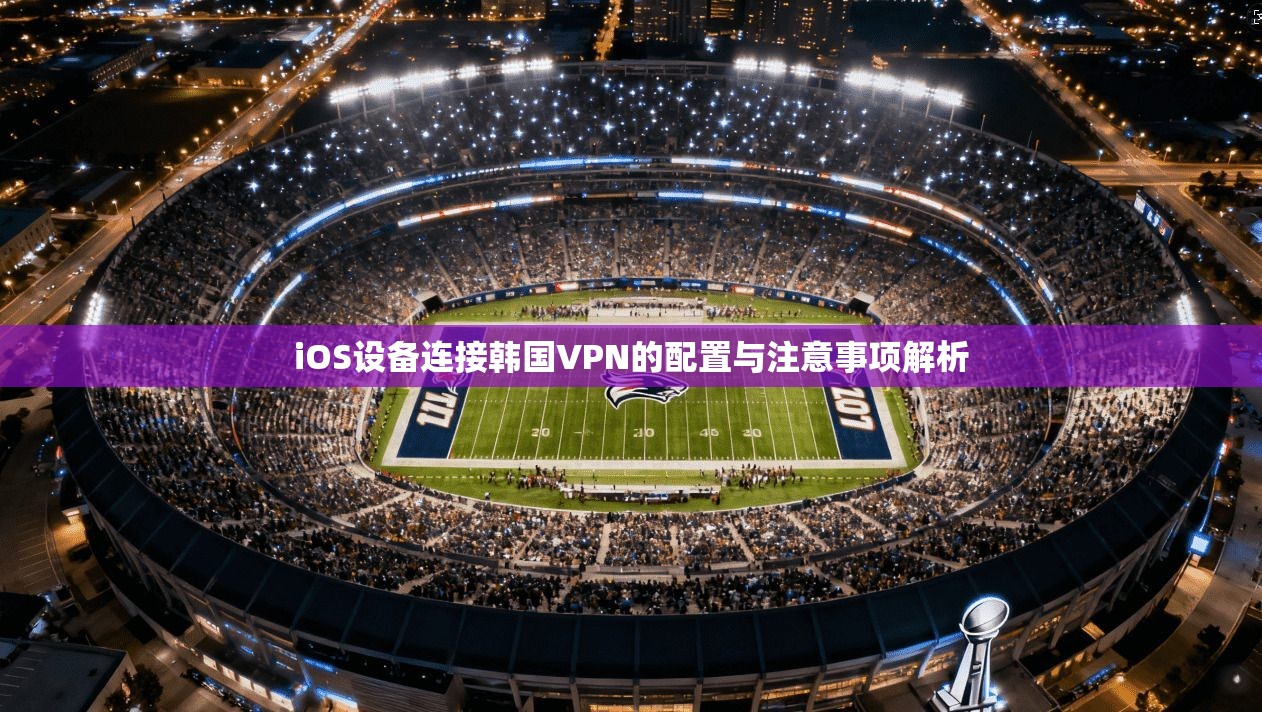 iOS设备连接韩国VPN的配置与注意事项解析