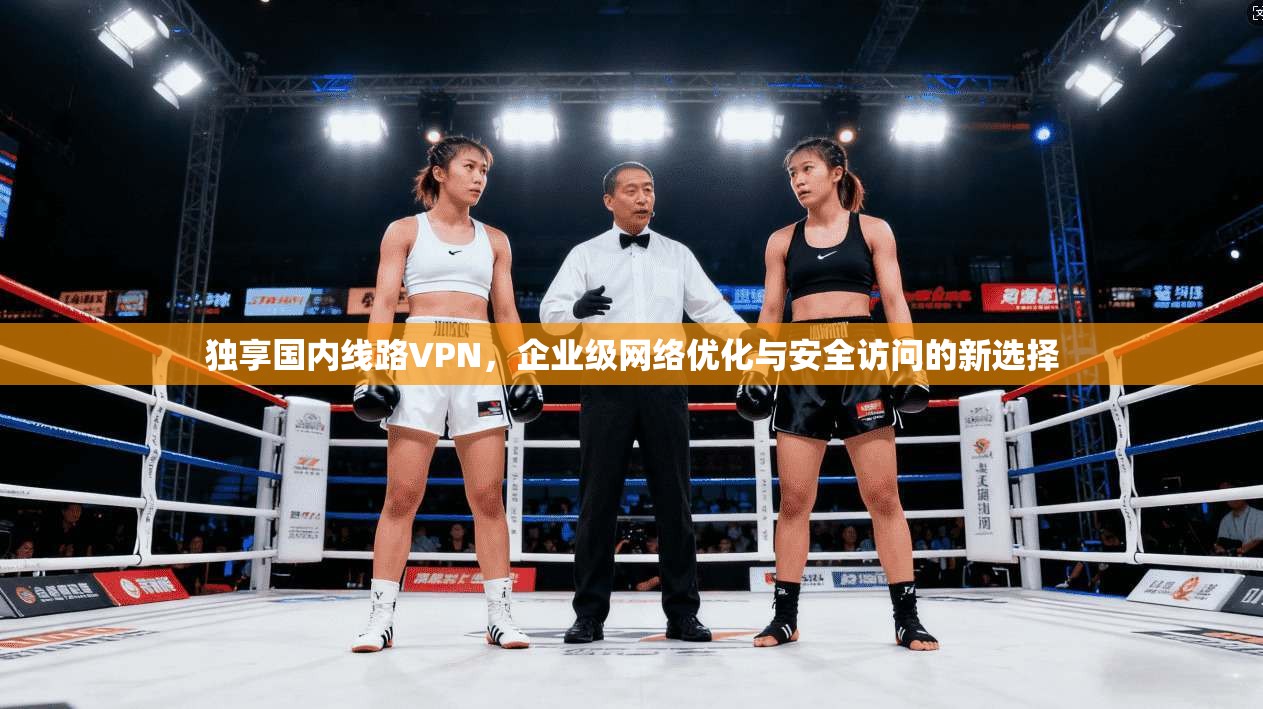 独享国内线路VPN，企业级网络优化与安全访问的新选择
