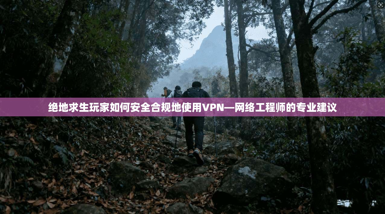 绝地求生玩家如何安全合规地使用VPN—网络工程师的专业建议