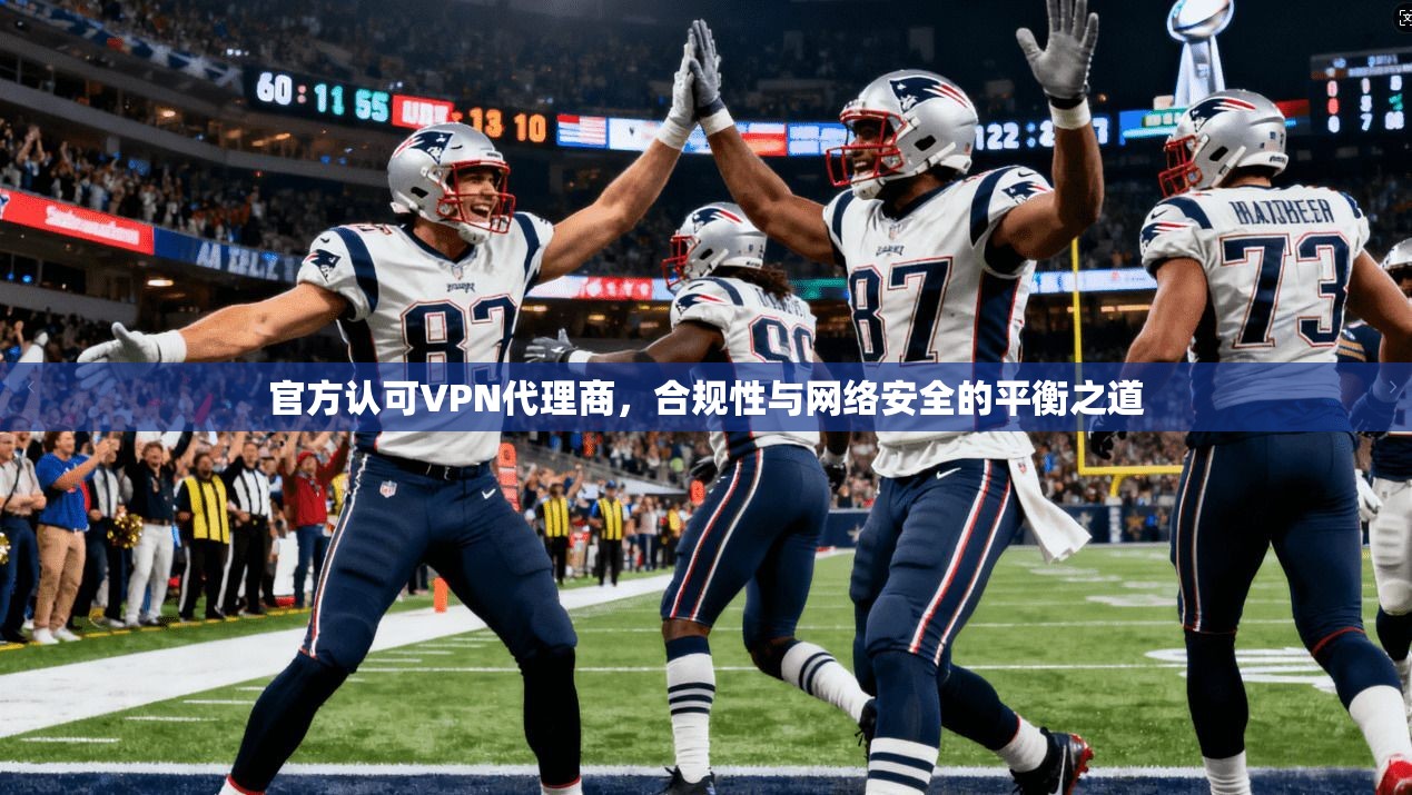 官方认可VPN代理商，合规性与网络安全的平衡之道
