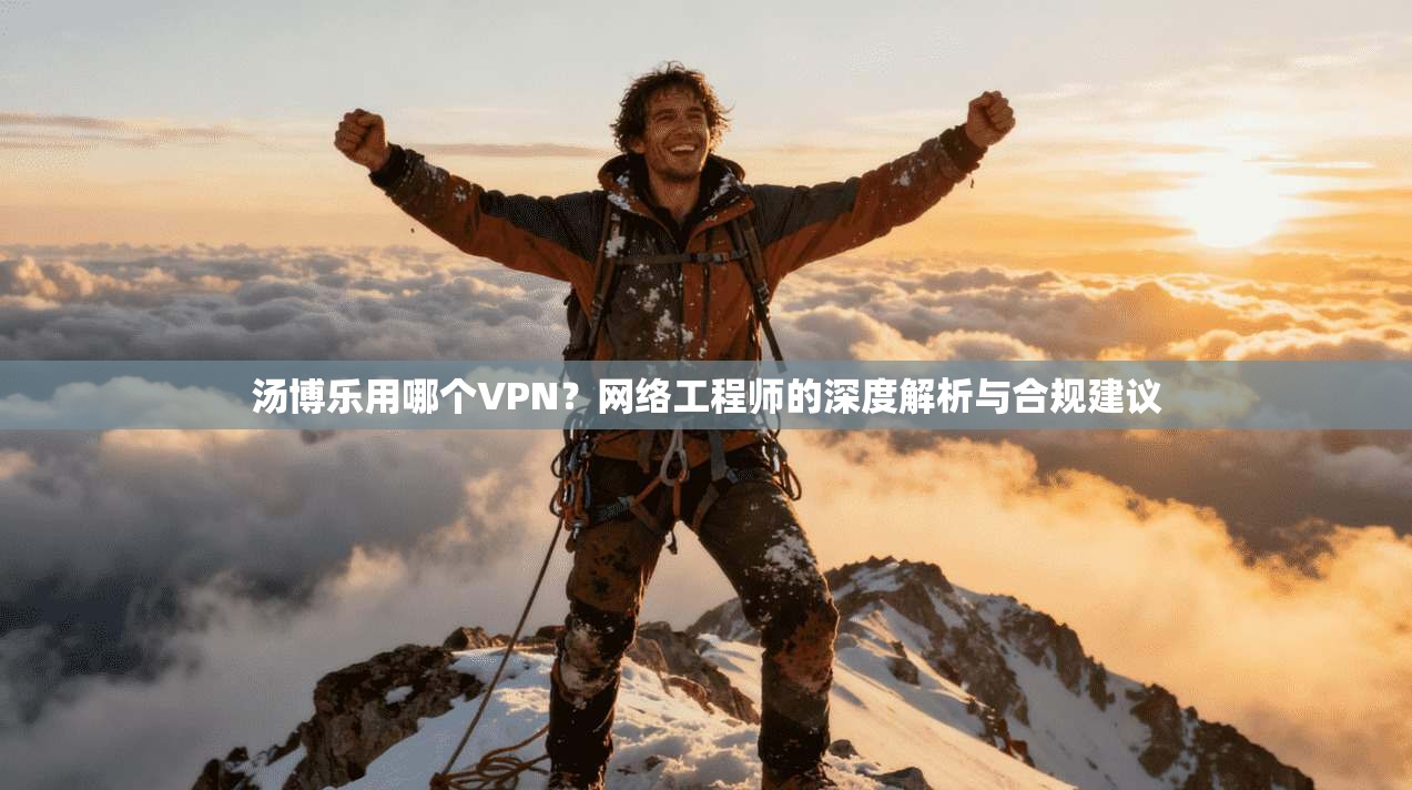 汤博乐用哪个VPN？网络工程师的深度解析与合规建议