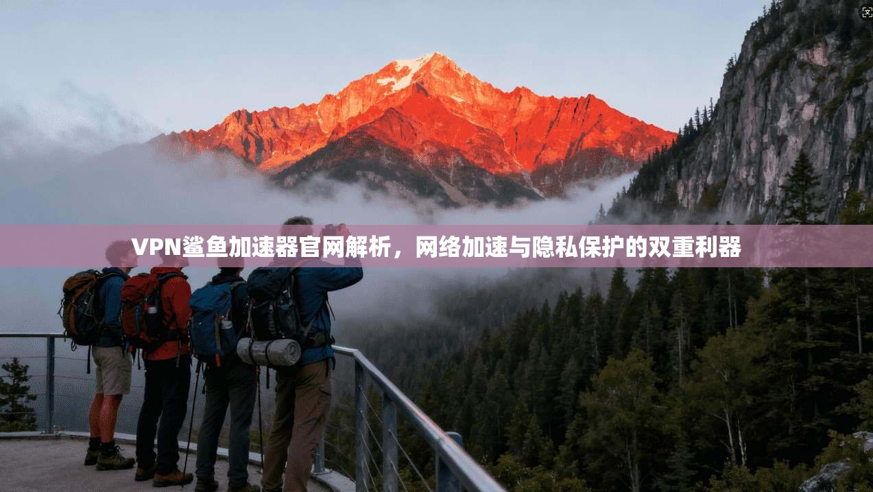VPN鲨鱼加速器官网解析，网络加速与隐私保护的双重利器