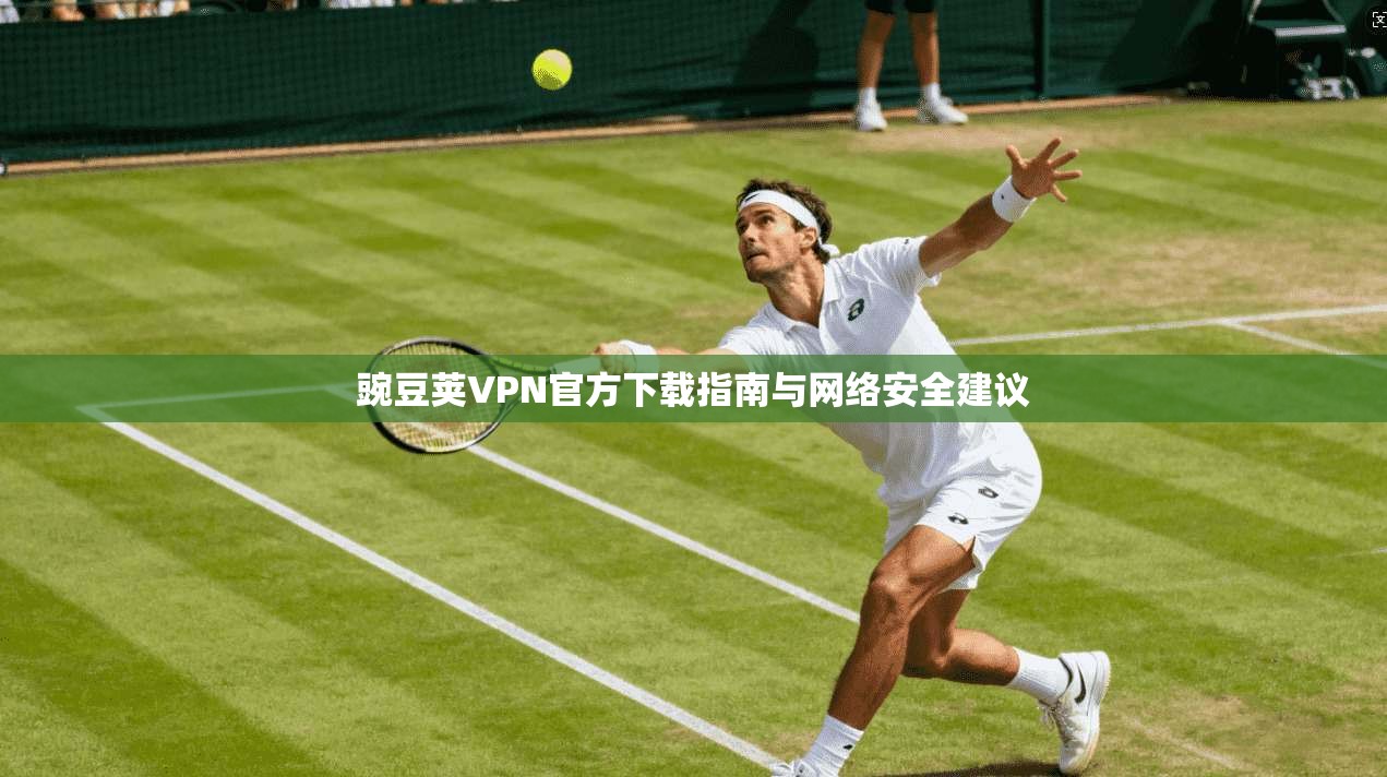 豌豆荚VPN官方下载指南与网络安全建议