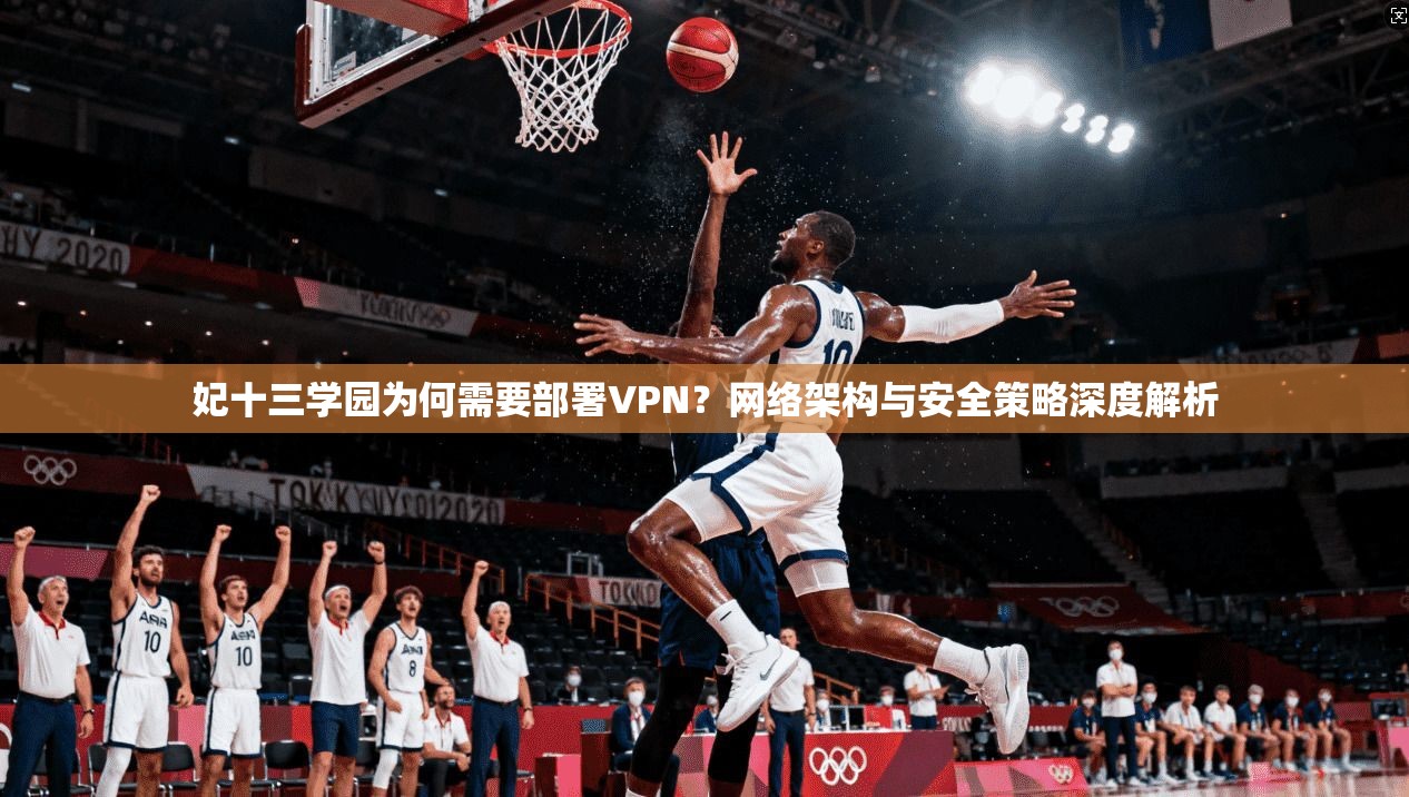 妃十三学园为何需要部署VPN？网络架构与安全策略深度解析