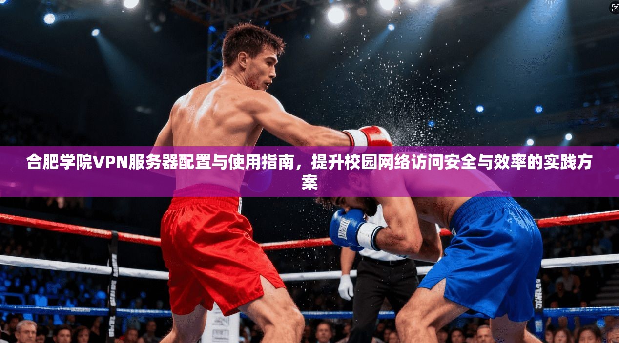 合肥学院VPN服务器配置与使用指南，提升校园网络访问安全与效率的实践方案