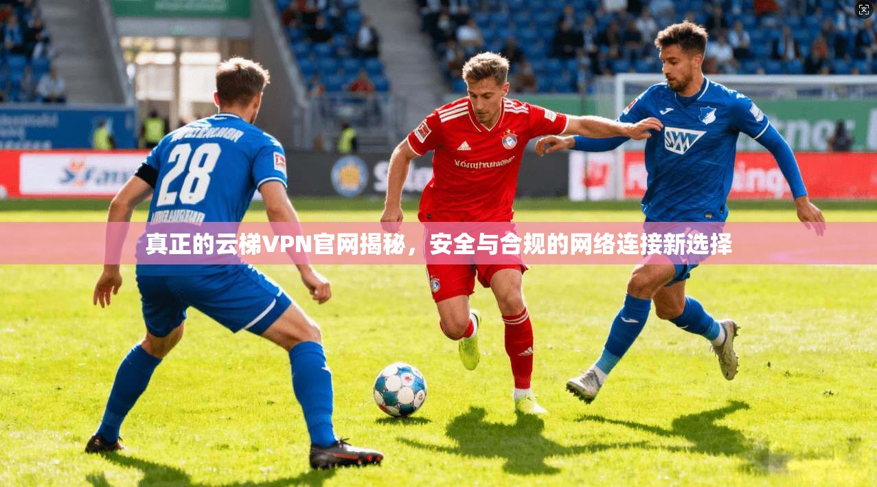 真正的云梯VPN官网揭秘，安全与合规的网络连接新选择