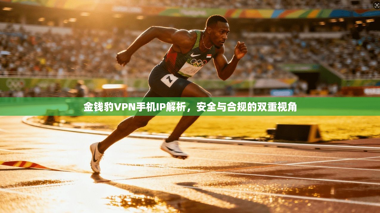 金钱豹VPN手机IP解析，安全与合规的双重视角