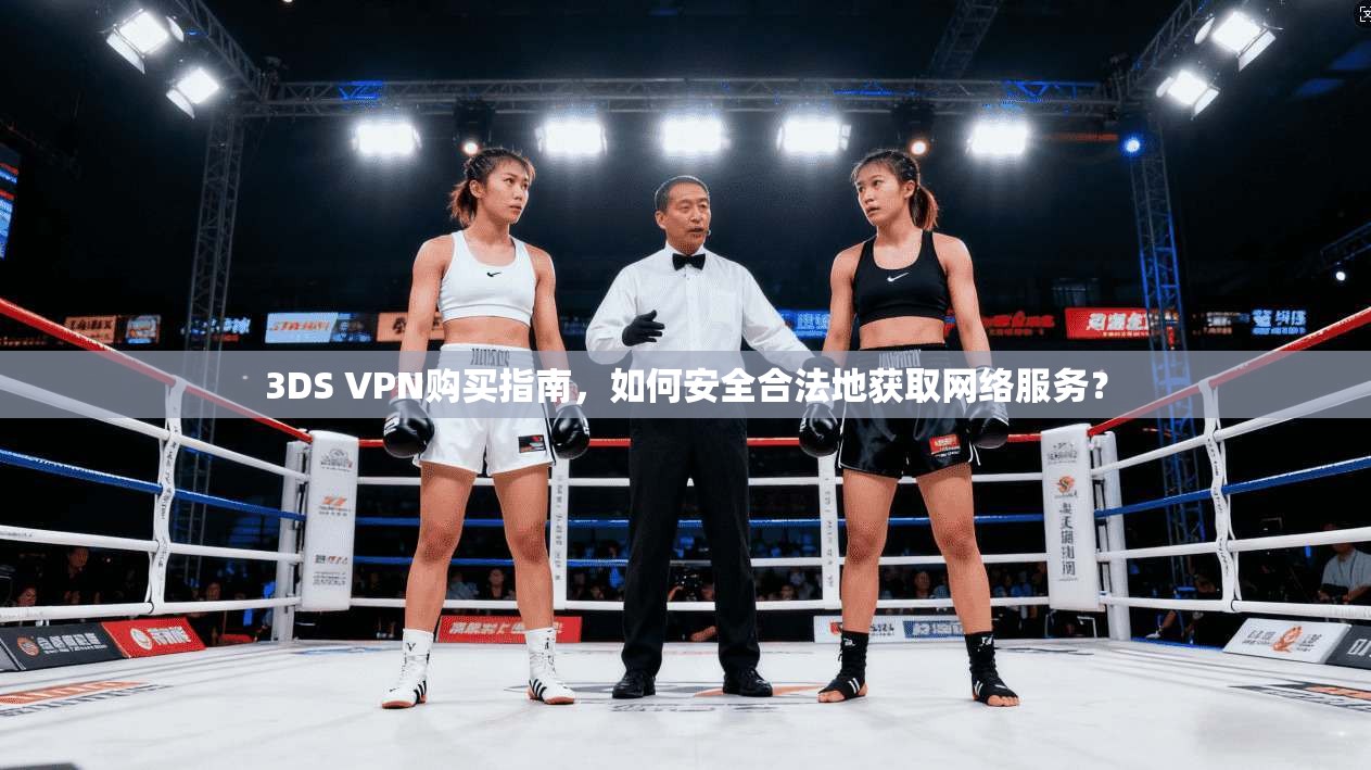 3DS VPN购买指南，如何安全合法地获取网络服务？
