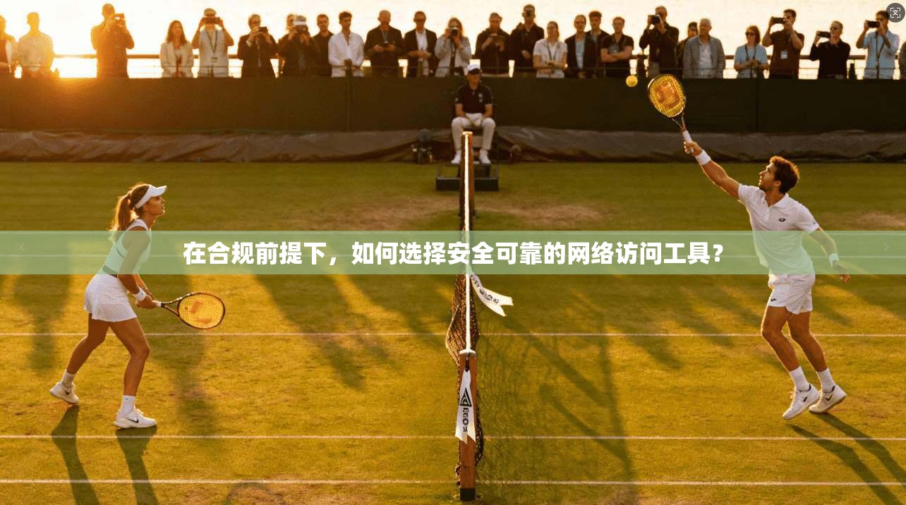 在合规前提下，如何选择安全可靠的网络访问工具？