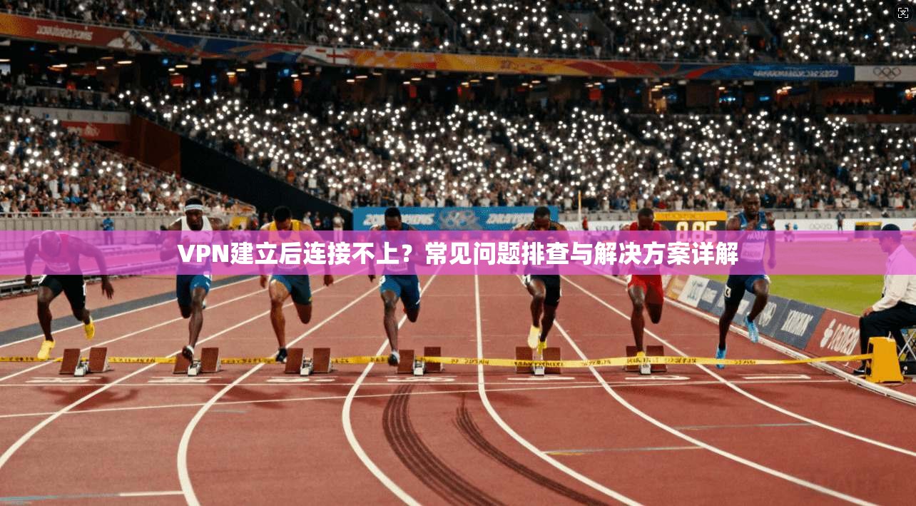 VPN建立后连接不上？常见问题排查与解决方案详解