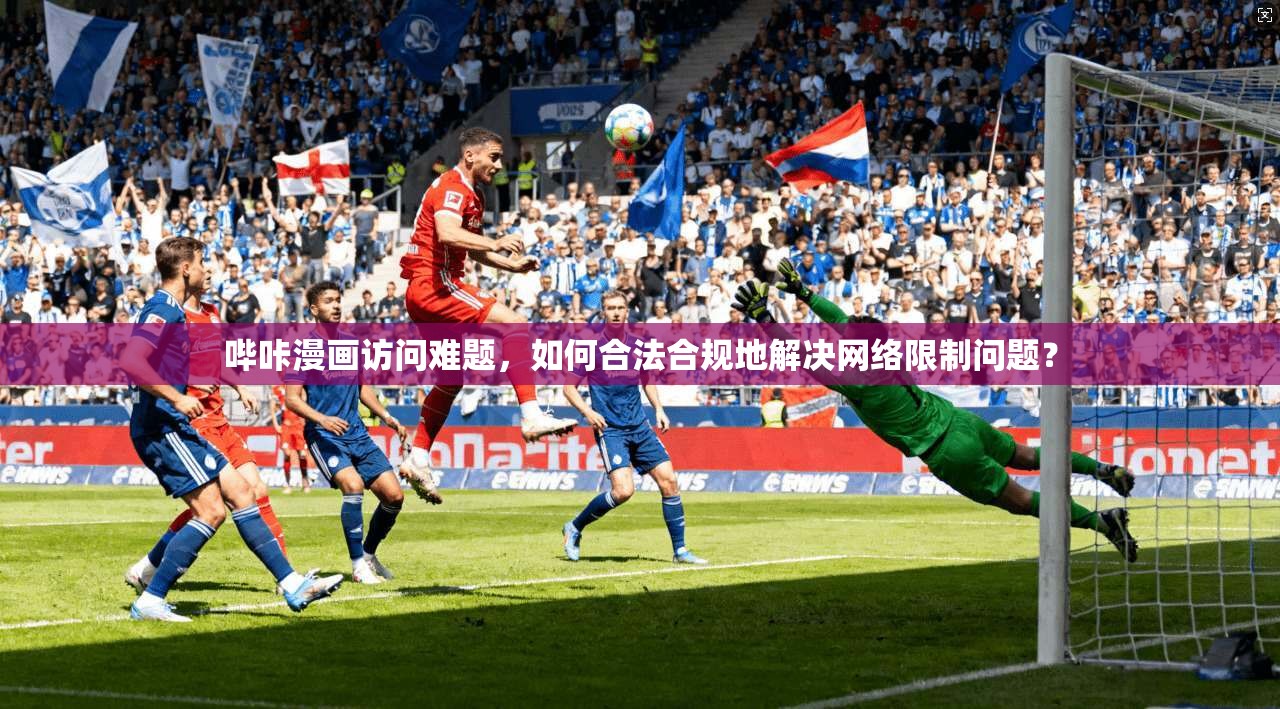 哔咔漫画访问难题，如何合法合规地解决网络限制问题？