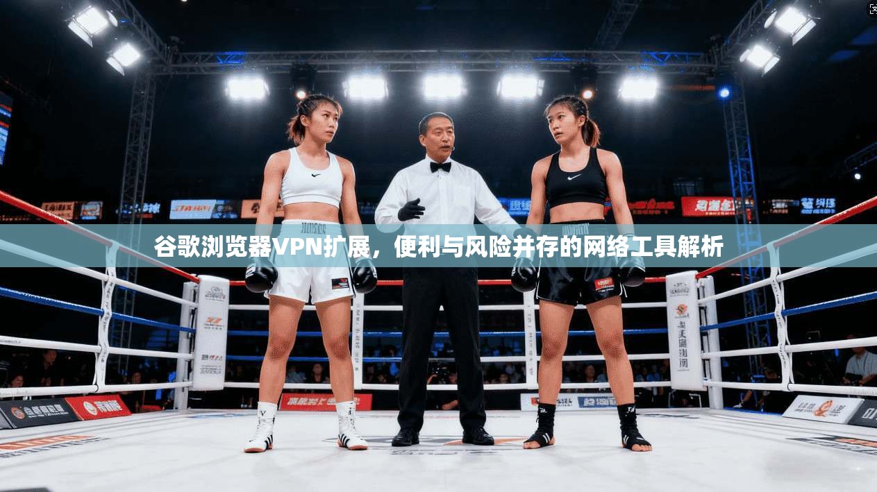 谷歌浏览器VPN扩展，便利与风险并存的网络工具解析