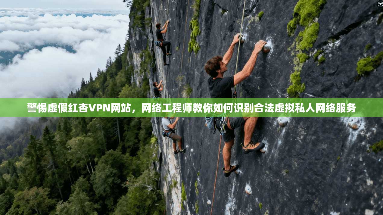 警惕虚假红杏VPN网站，网络工程师教你如何识别合法虚拟私人网络服务