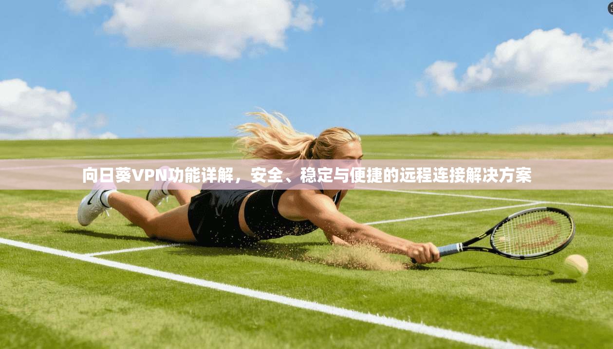 向日葵VPN功能详解，安全、稳定与便捷的远程连接解决方案