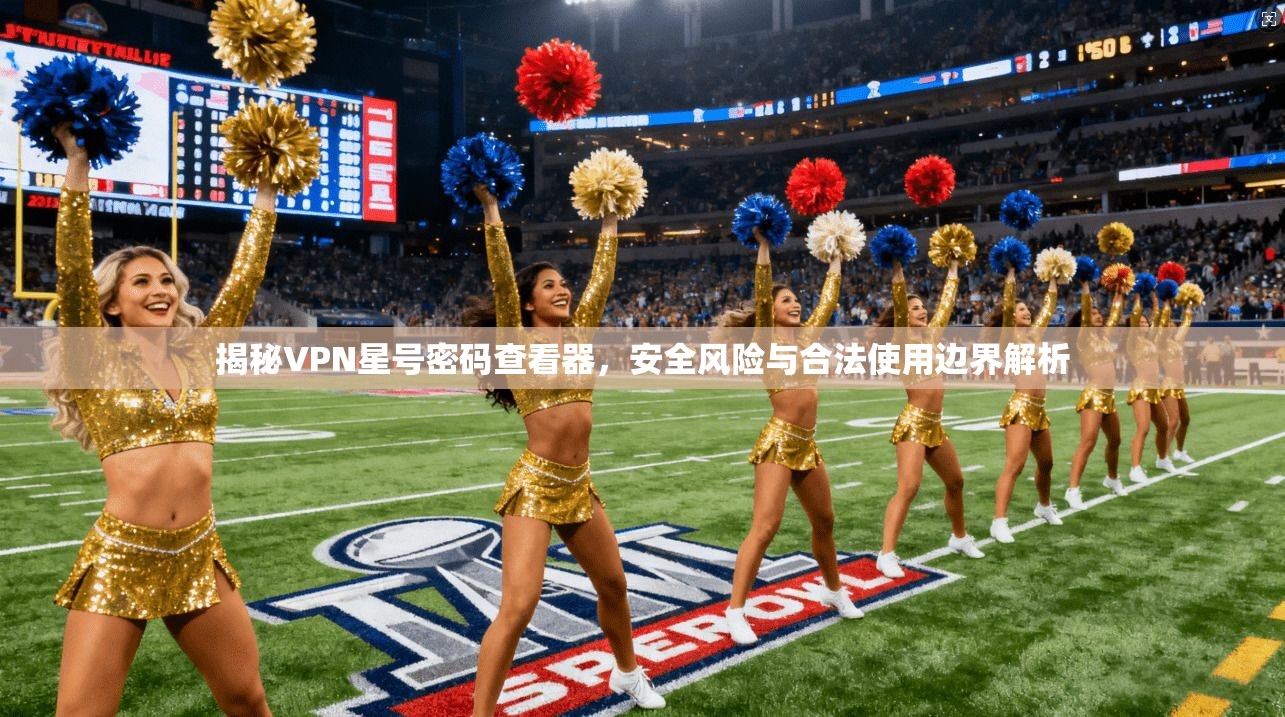揭秘VPN星号密码查看器,安全风险与合法使用边界解析
