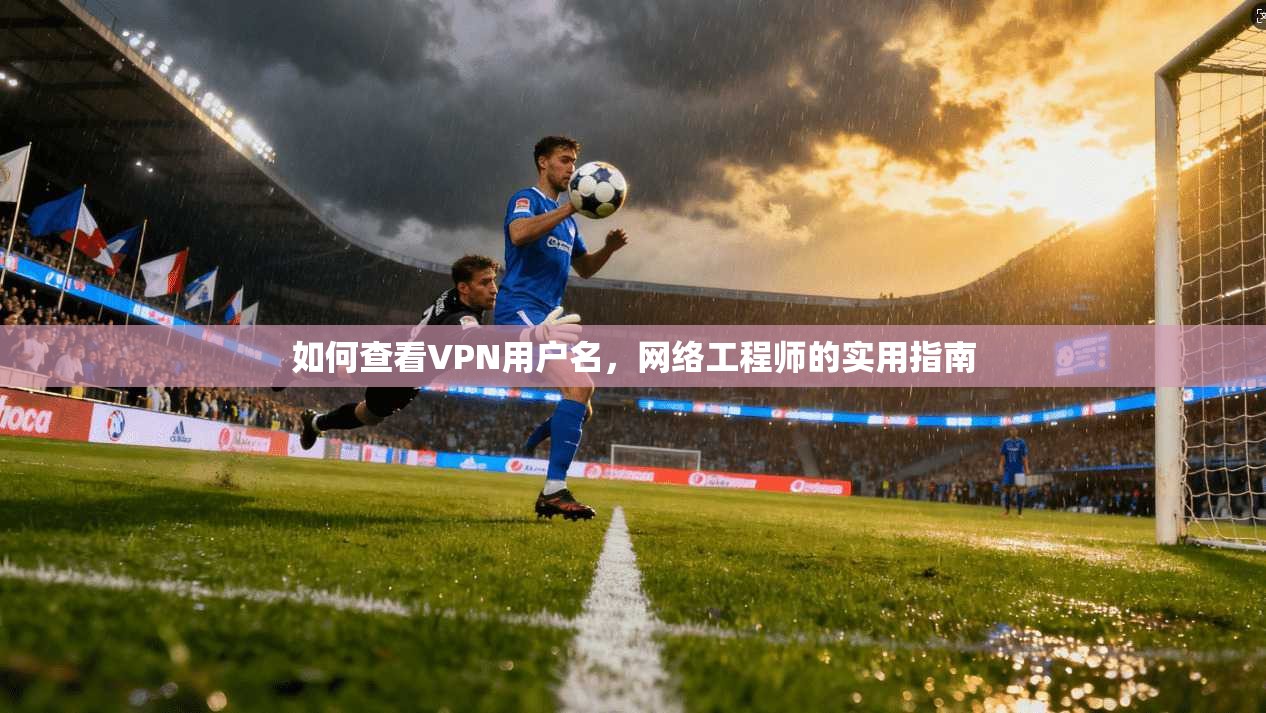 如何查看VPN用户名，网络工程师的实用指南