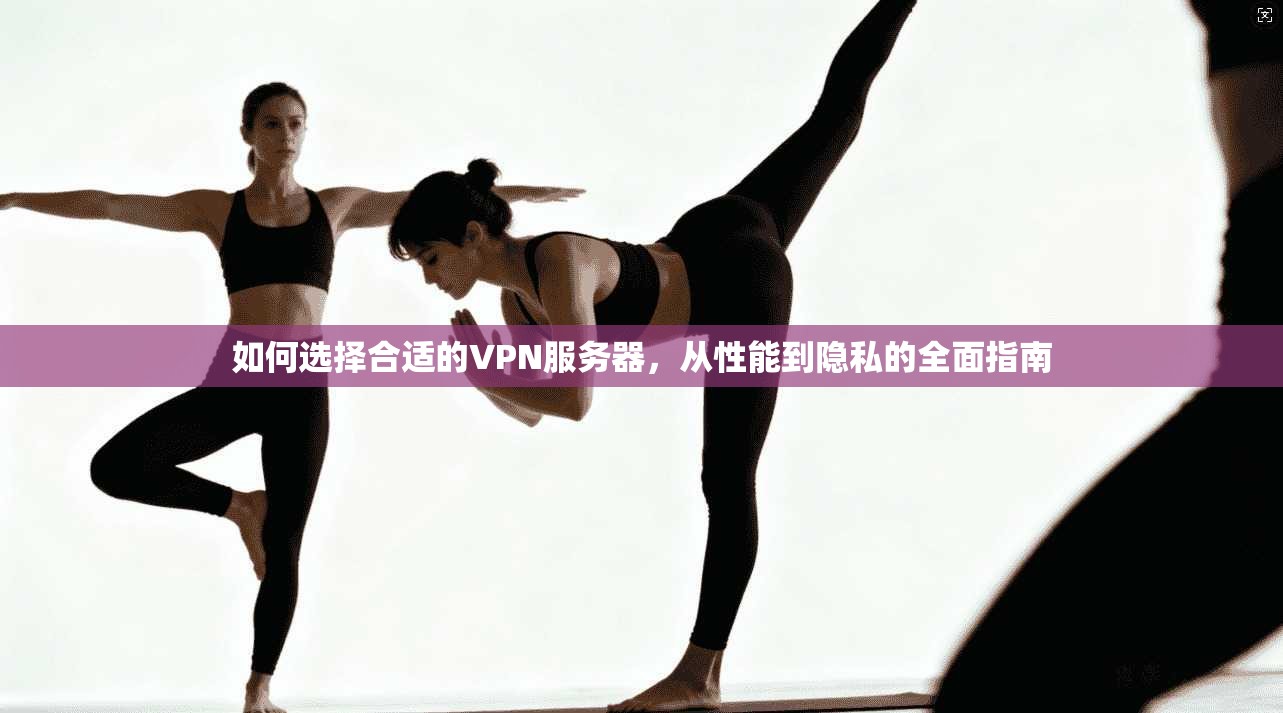 如何选择合适的VPN服务器，从性能到隐私的全面指南