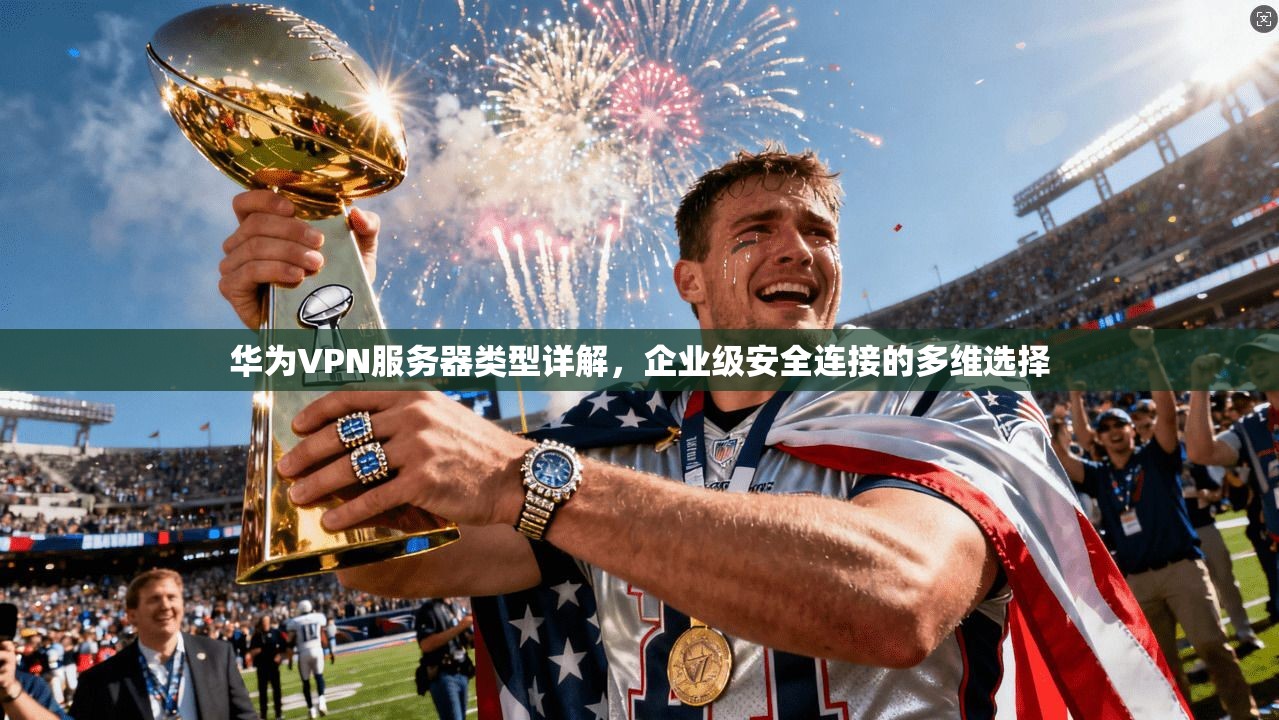 华为VPN服务器类型详解，企业级安全连接的多维选择