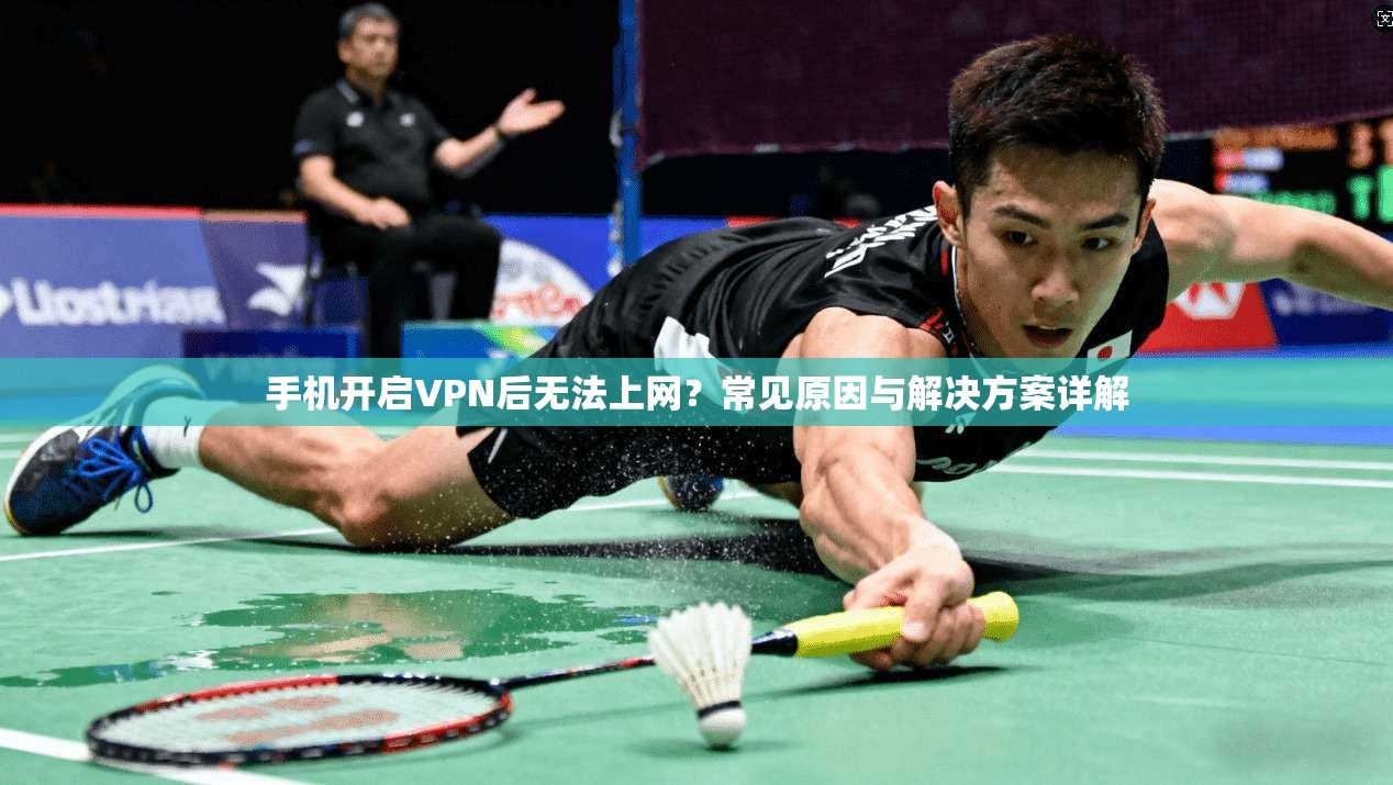 手机开启VPN后无法上网？常见原因与解决方案详解