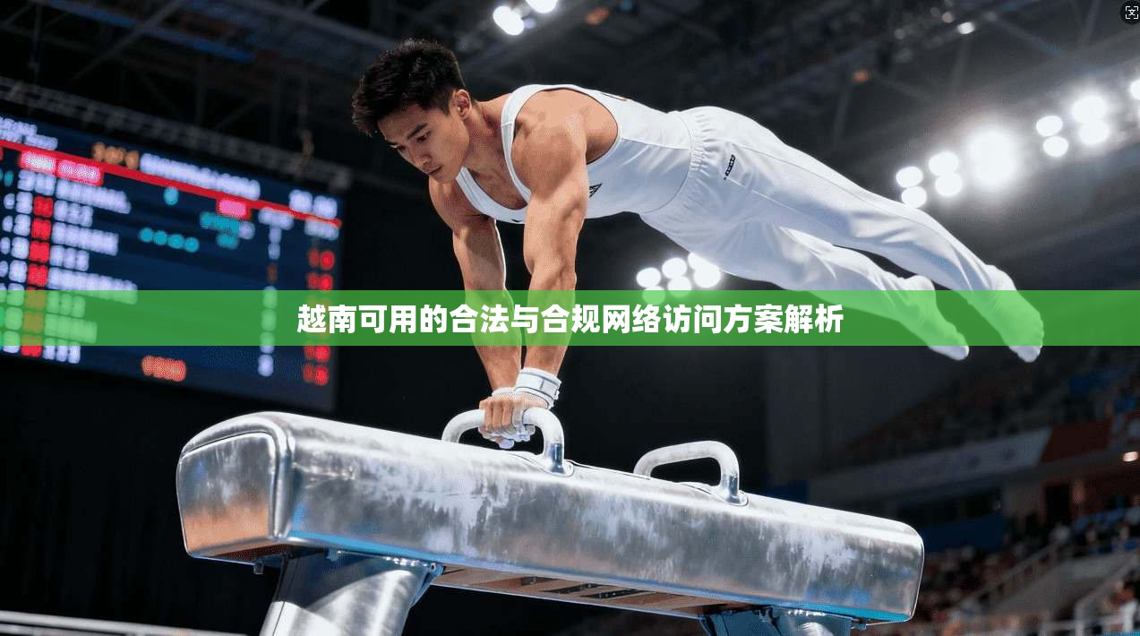 越南可用的合法与合规网络访问方案解析