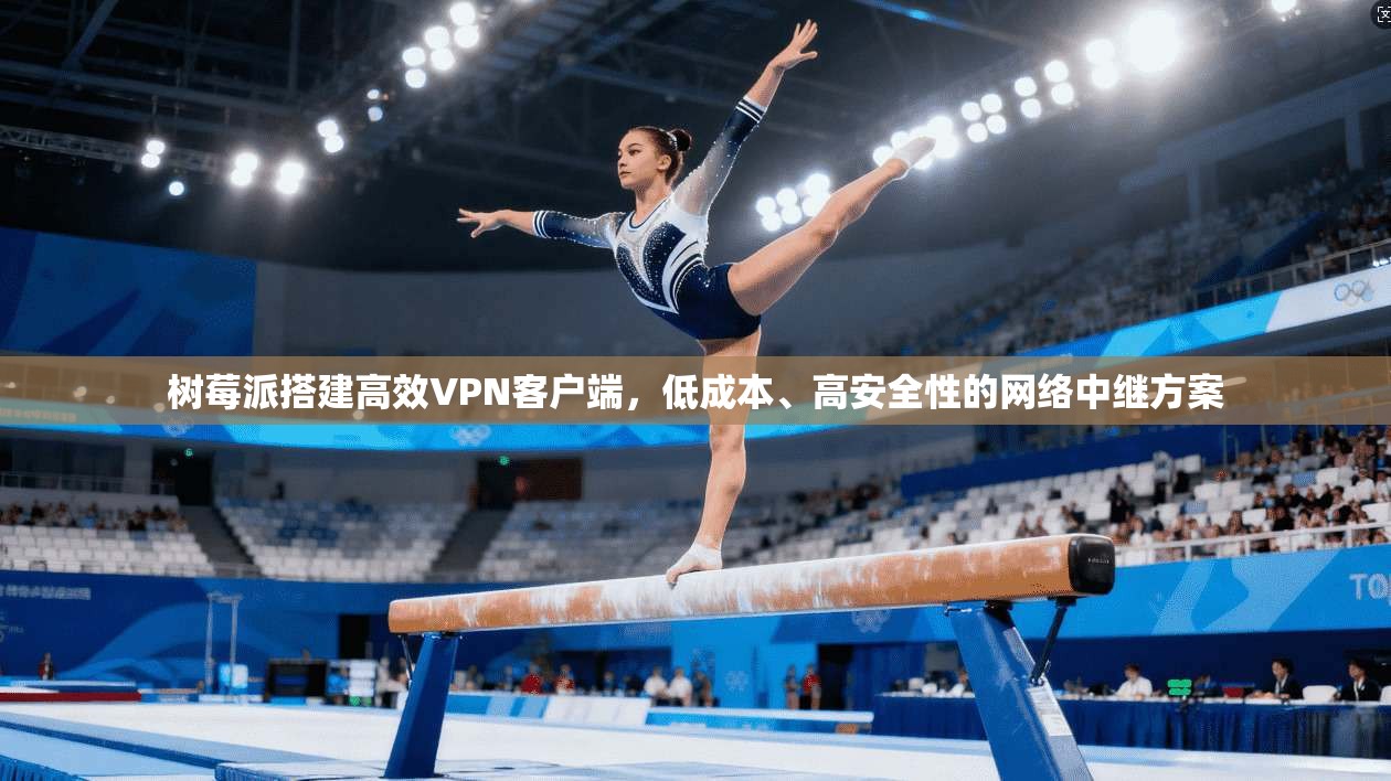 树莓派搭建高效VPN客户端，低成本、高安全性的网络中继方案