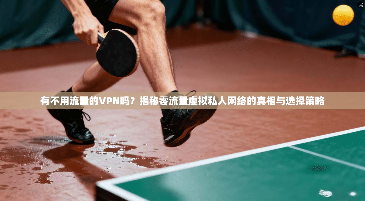 有不用流量的VPN吗?揭秘零流量虚拟私人网络的真相与选择策略